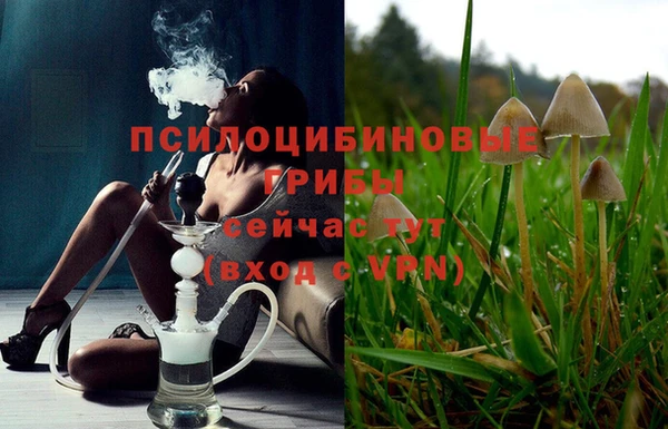 стаф Алексин