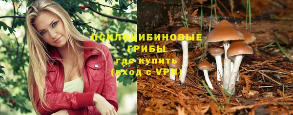 каннабис Арсеньев