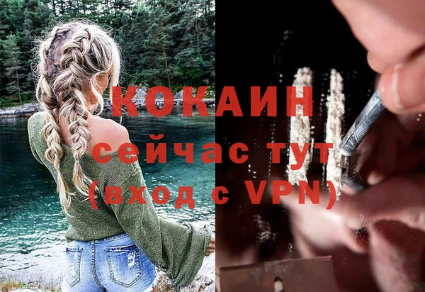 Альфа ПВП Аркадак