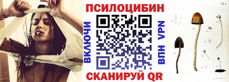 Галлюциногенные грибы Cubensis  Волхов 